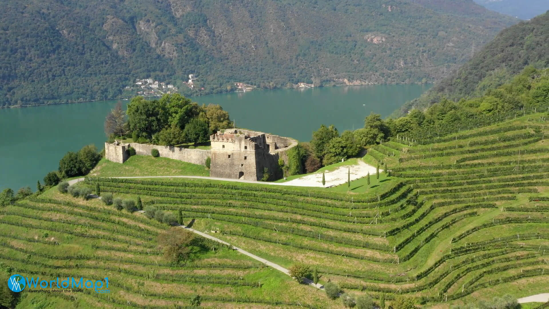 Historical Castle amd Vimeyards Above Lugano Lake